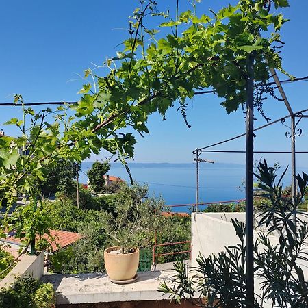 Mala Cele Podgora Quarto foto