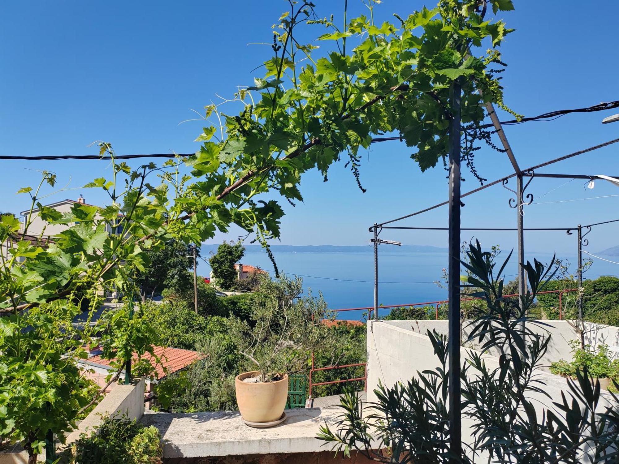 Mala Cele Podgora Quarto foto